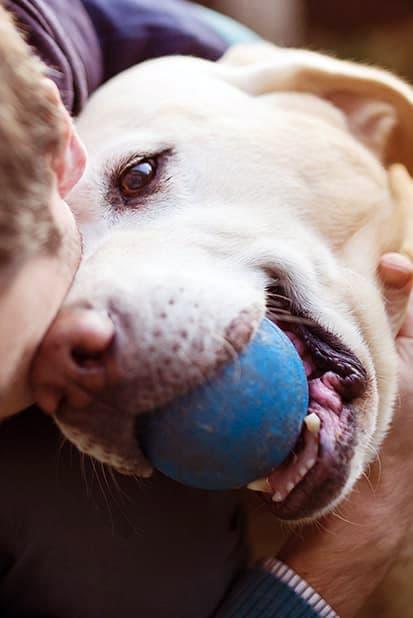 A man hugging a dog with a ball in its mouth