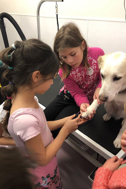 Kids learning to trim a dog's nails