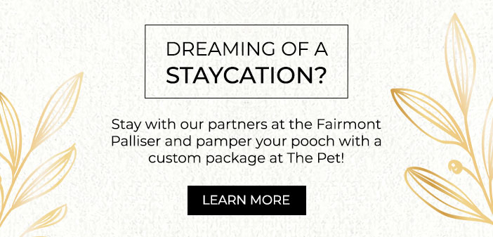 Stay with our partners at the Fairmont Palliser and pamper your pooch with a custom package at The Pet!