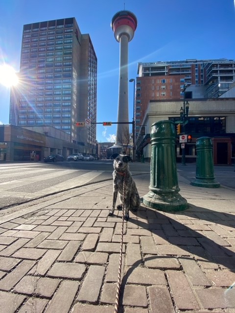 Foster in front of tower